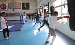 Erkek Boks Milli Takımı, Kastamonu'da kamp yapıyor