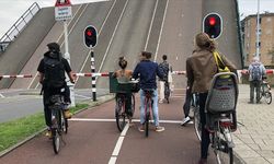 Hollandalıların yarısından fazlası ulaşım için pedal çeviriyor