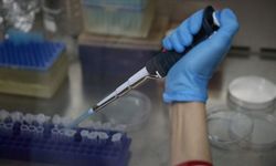 KKKA aşısının klinik öncesi çalışmalarının eylüle kadar bitirilmesi planlanıyor