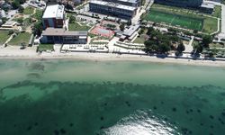 Kuzey Ege ve Güney Marmara'nın mavi bayraklı plajları yaz sezonuna hazır