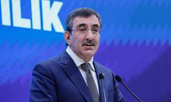 Cumhurbaşkanı Yardımcısı Yılmaz, enflasyon verilerini değerlendirdi