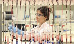 Türk Kızılay 2,3 milyon gönüllü kan bağışçısıyla dünyada 3'üncü oldu