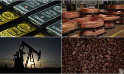 Emtia piyasası geçen ay azalan risk algısıyla yükseldi