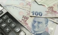 Türkiye'nin "Satın Alma Gücü Paritesi"ne göre kişi başına GSYH endeksi 2024 için 71 oldu