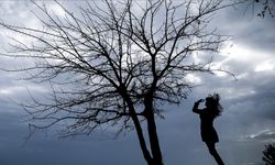 Türkiye’de Kaç Çeşit Rüzgar Var? Bölgelere Göre Rüzgarların Özellikleri