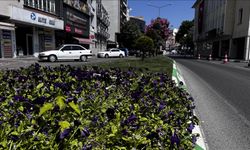 Kent peyzajı iklim değişikliğinde etken rol oynuyor