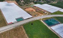 Seracılığın merkezi Elmalı'da kuraklığa "yağmur suyu hasadı" ile çözüm