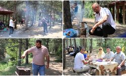 Yozgat'taki Çamlık Milli Parkı piknikçilerin uğrak noktası oldu