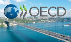 OECD, Türkiye ekonomisinin bu yıl yüzde 2,9 büyüyeceğini tahmin etti