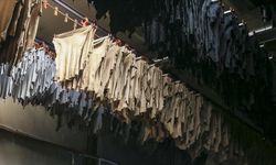 Kurban derilerinin doğru kesilmesi ve muhafazası ekonomiye milyonlarca dolarlık katkı sağlayacak