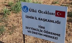 Ülkü Ocakları İzmir İl Başkanlığı’ndan tarımsal kalkınmaya öncü adım: Tire zeytincilik öğrenme ve üretim merkezi açıldı