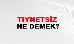 Tıynetsiz ne demek