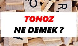 Tonoz nedir?