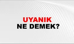 UYANIK KELİMESİNİN ANLAMI NEDİR?