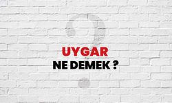 Uygar ne demek
