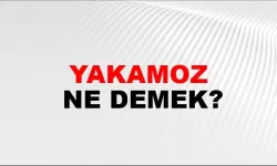 Yakamoz ne demek?