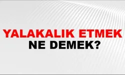 Yalakalık etmek ne demek