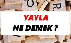 Yayla Ne Demek