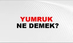 Yumruk Ne Demek?