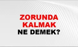 Zorunda kalmak ne demek