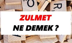 Zulmet Ne Demek?