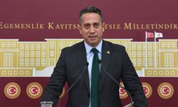 CHP’li Ali Mahir Başarır, Meclis’te Çevreci Görünümlü Provokatöre Mikrofon Uzattı