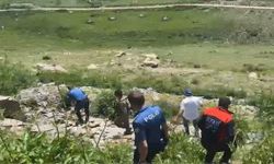 14 gündür kayıp şahsın cansız bedeni yayla yolunda bulundu