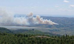 Kahramanmaraş’ta orman yangını