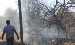 Malatya’da bahçe yangını