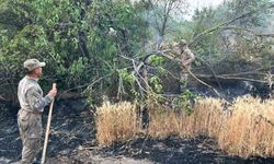 Eskişehir’den Bilecik yangınına giden jandarma ekipleri döndü
