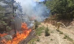 Orman yangınına sebep olan 9 kişi gözaltına alındı, bir kişi tutuklandı