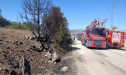 Burdur’da ceviz bahçesi ve 5 dönüm tarım arazisi yandı