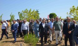 Sinop'ta Şehit Ömer Can Açıkgöz'ün adı hatıra ormanında yaşatılıyor