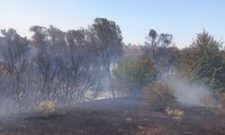 Muratlı’da anız yangını