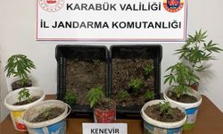 Karabük’te iki evde 14 kök kenevir ele geçirildi