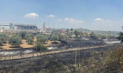 Çift sürülen tarla yangında zarar görmedi