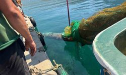 İzmir Karaburun’da balıkçı ağına denizaltı torpidosu takıldı
