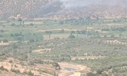Nazilli’de makilik ve zirai alan yangını