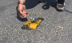 İstanbul’da asfaltta yumurta pişirdi