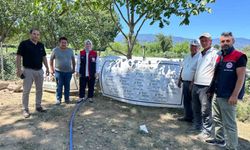 Düzce’de üretilen dondurma kavunları Antalya pazarlarında