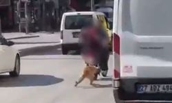 Motosikletin arkasına bağladıkları köpeği sürükleyerek götürdüler