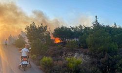 Cunda Adası’ndaki orman yangını büyümeden söndürüldü