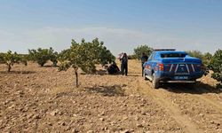 Antep fıstığı hasadı yaparken fenalaşan işçi hayatını kaybetti