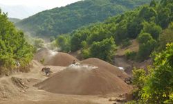Muş dağlarında mangal kömürü üretimi