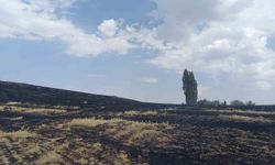 ÇEDAŞ’ın arızalanan trafosu 400 dönüm araziyi küle çevirdi