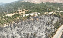 Tarihinin en büyük Gürsu yangınından yürek burkan bu manzaralar kaldı