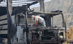 Erzurum-Artvin yolunda tır alev alev yandı