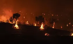 İzmir Çeşme'deki orman yangını kontrol altına alındı