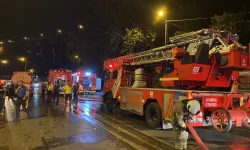 Beykoz’da ağaçlık alanda çıkan yangın söndürüldü