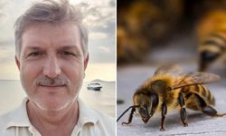 Balıkesir'de arının soktuğu kişi hayatını kaybetti